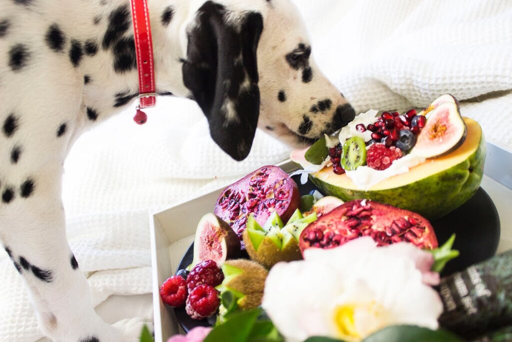 Frutas que Cachorro Pode Comer