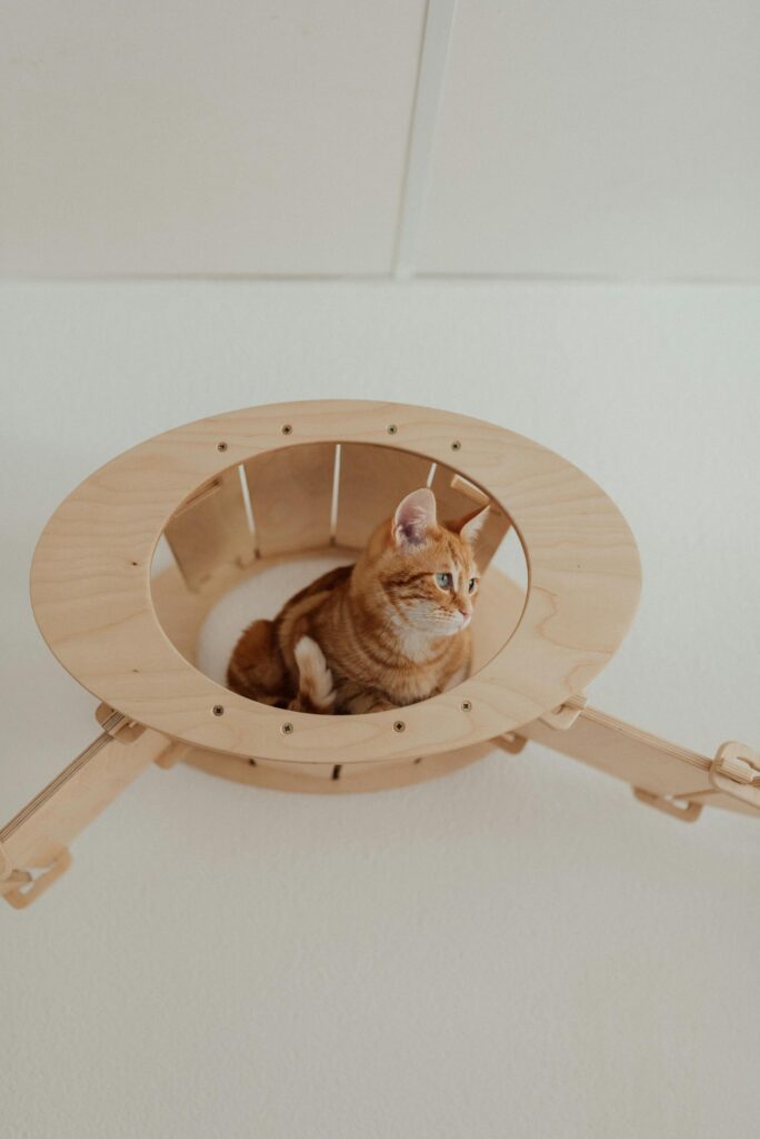 Cama para Gato