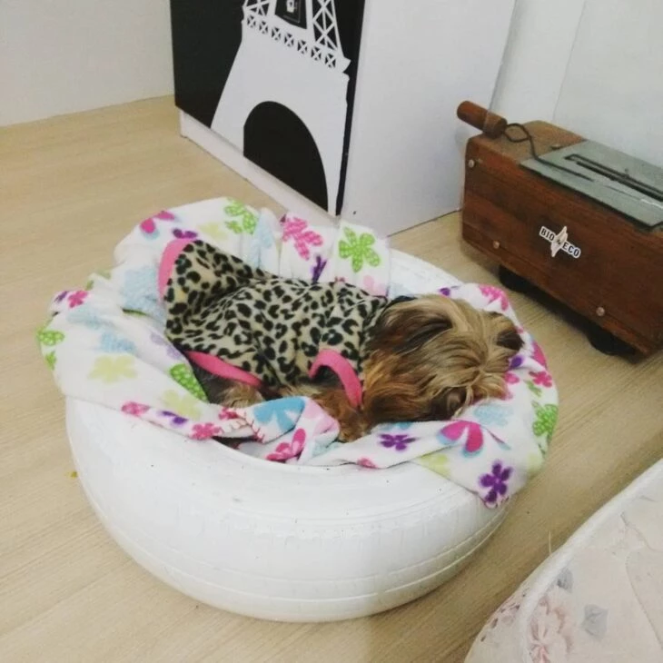 Como fazer cama de cachorro